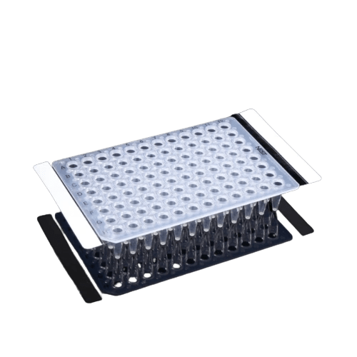 [ELE410001 P100] Film Sellados Comunes para Placas Nest Biotechnology