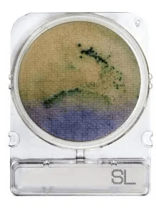 [ORO54058 P4] Placas para Determinación de Salmonella Spp x 4 Compact Dry