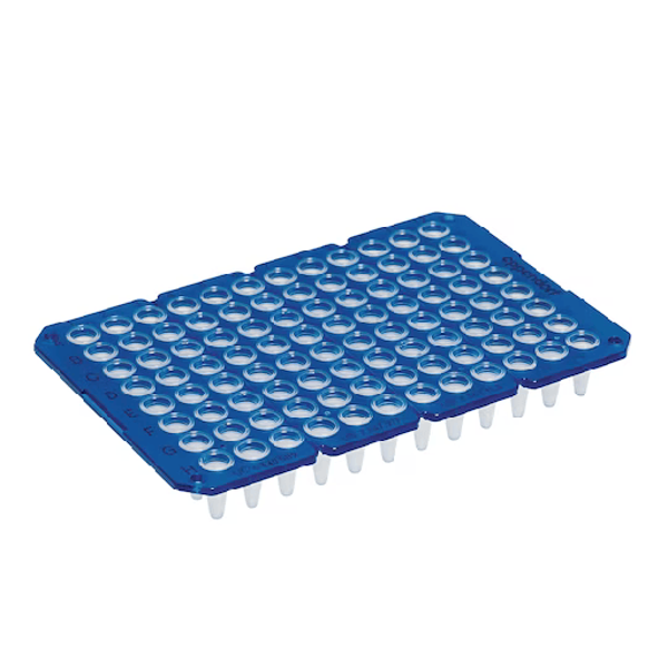 Imagen de Placa de 96 pocillos para PCR Eppendorf sin Faldón - twin.tec