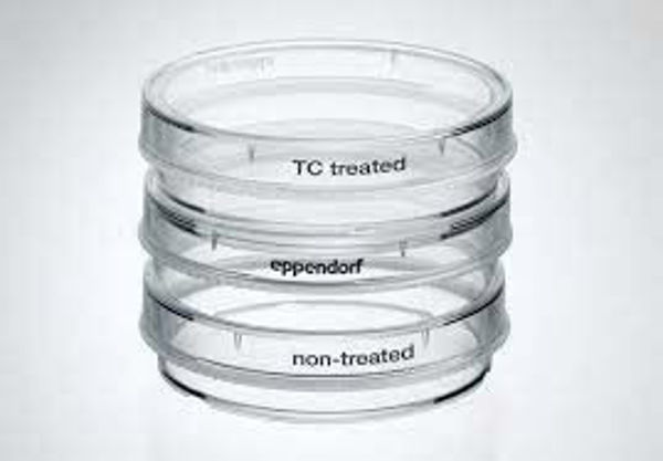 Imagen de Placa de Cultivo Eppendorf