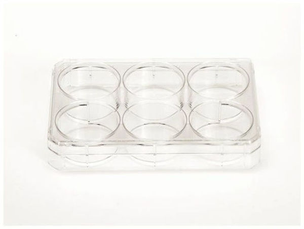 Imagen de Placa Cultivo PS con Tapa 6 Hoyos Estéril Nalge-Nunc