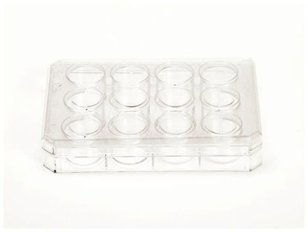 Imagen de Placa de Cultivo con Tapa para 12 Hoyos No Estéril Nalge-Nunc