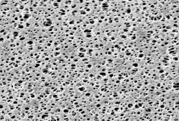 Imagen de Filtro Membrana de Poliestersulfona (PES) Sartorius