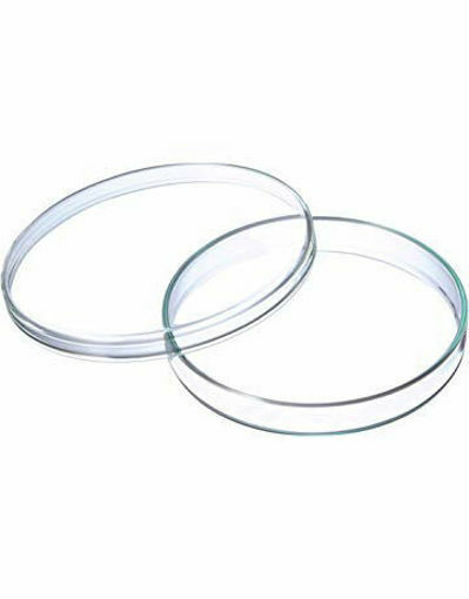 Imagen de Pack por 1000 Placas de Petri Estériles 55mm AGB