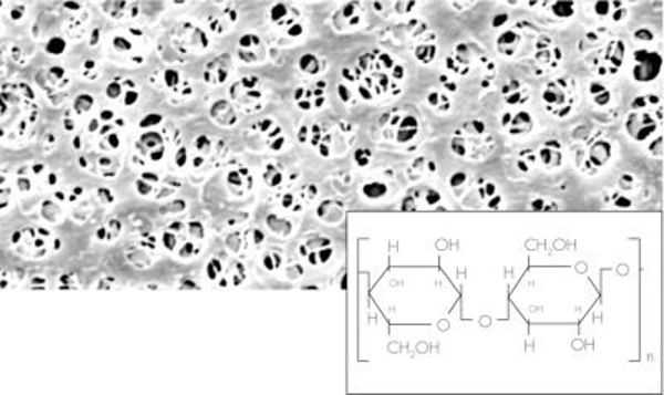 Imagen de Caja de 100 Filtros Membrana de Celulosa Regenerada Sartorius (Diámetro 25mm)