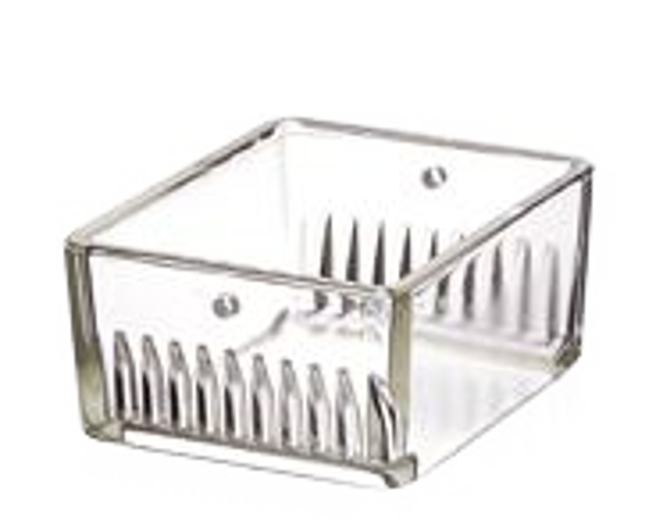 Imagen de Cestillo para Tinción Duran