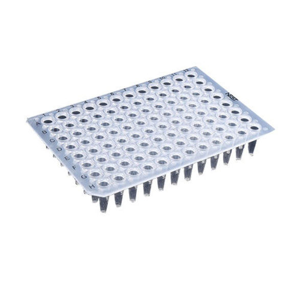 Imagen de Placa PCR sin Skirt NEST