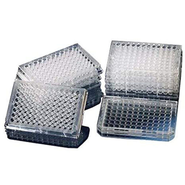 Imagen de Placa Maxisorp Inmuno 96 Hoyos Fondo Plano Nalge-Nunc