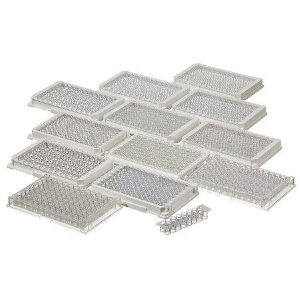 Imagen de Placa Polysorp F8 Desarmable Fondo Plano Nalge-Nunc