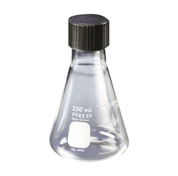Imagen de Erlenmeyer con Tapa Rosca Pyrex