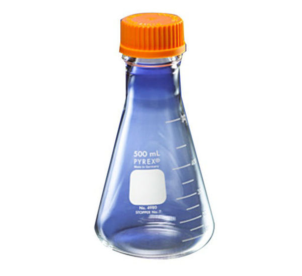 Imagen de Erlenmeyer Esmeralizado con Tapa Plástico Pyrex