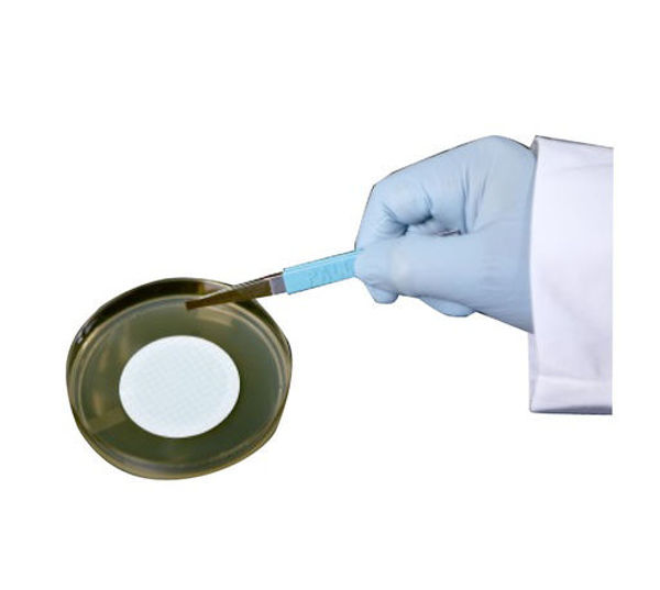 Imagen de Pinza Forcep Acero Inoxidable Pall x 1 ud.