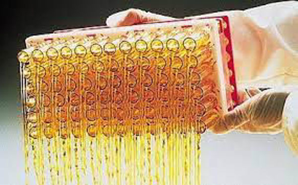 Imagen de Sujetador de Tubos para Gradillas 16mm Nalge-Nunc