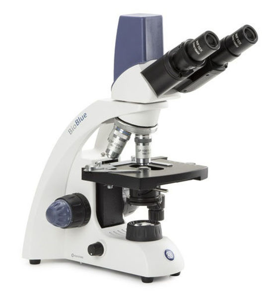 Imagen de Microscopio Binocular con Cámara Euromex - BioBlue Digital