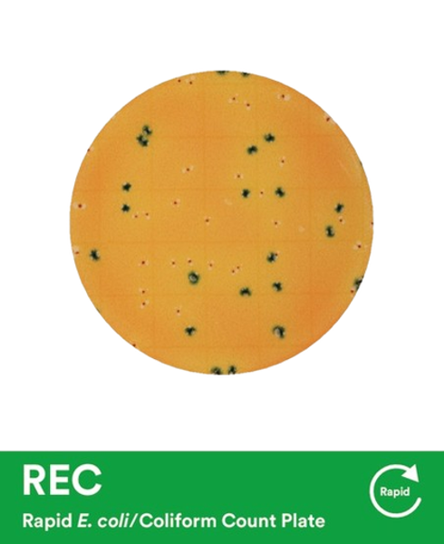 Imagen de Petrifilm E.coli/Coliformes Express 3M (25 unidades)