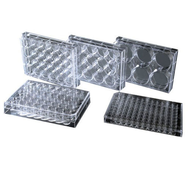 Imagen de Pack de 50 Placas de Cultivo Celular 6 Pozos Planas Tratadas Nest