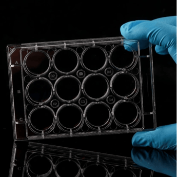Imagen de Placas de Cultivo Celular de 12 Pocillos Tratadas con TC Nest Biotechnology