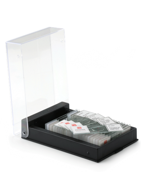 Imagen de Set de 25 Preparados Histológicos Enseñanza N°3 Euromex