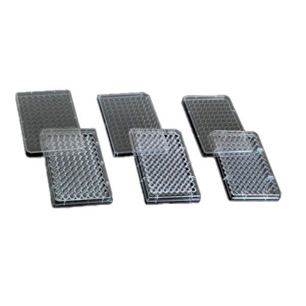 Imagen de Placa 96 Hoyos Fondo Plano con Tapa Esteril