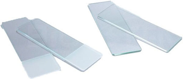 Imagen de Portaobjeto 76x26 mm Carga Positiva  (50 un)