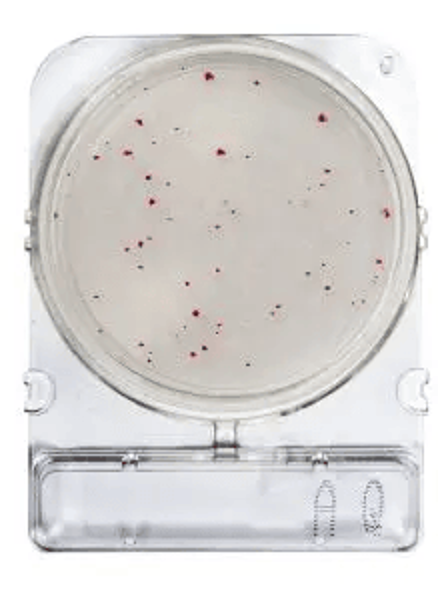 Imagen de Placas para Determinación de Heterotróficas para Agua x 40 Compact Dry