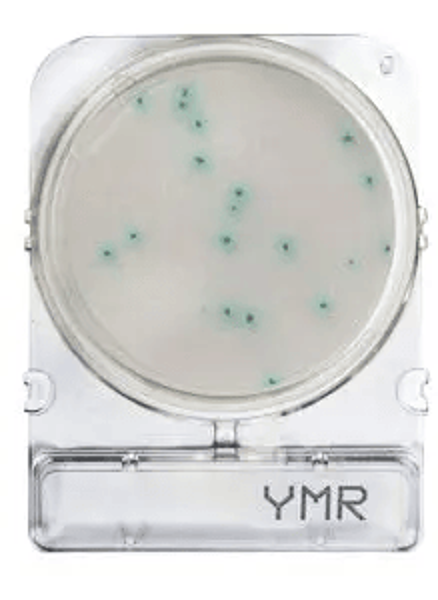 Imagen de Placas para Determinación de Hongos y Levaduras Rápido x 40 Compact Dry