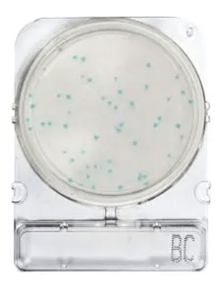 Imagen de Placas para Determinación de Bacillus Cereus x 40 Compact Dry