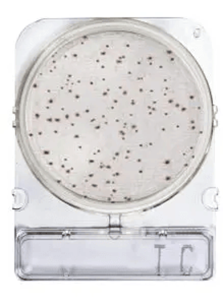 Imagen de Placas para Determinación de Recuento Total Rápido x 40 Compact Dry