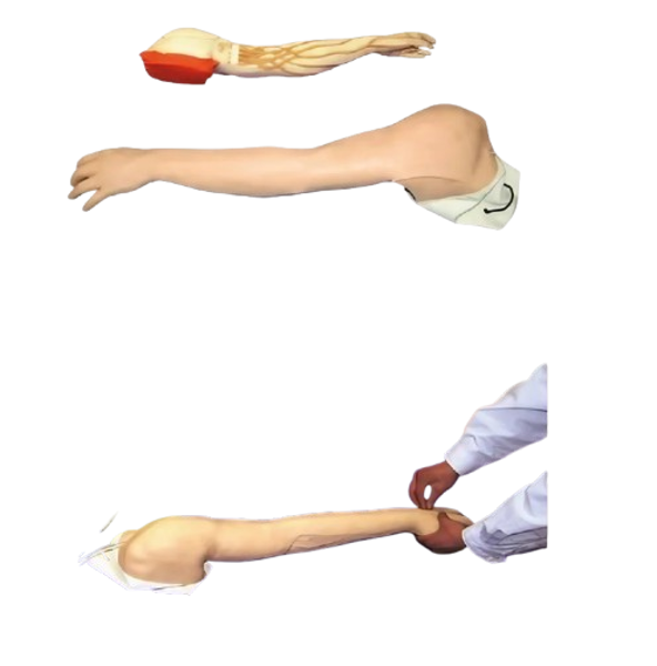 Imagen de Brazo de Entrenamiento Avanzado HS39