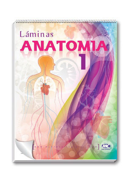 Imagen de Rotafolio de Anatomía (I) Mundo Cartográfico