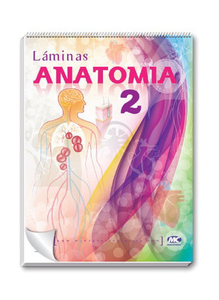 Imagen de Rotafolio de Anatomía (II) Mundo Cartográfico