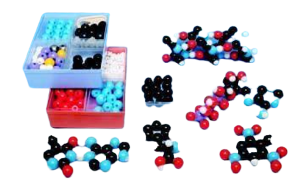 Imagen de Set para Profesores de Bioquímica