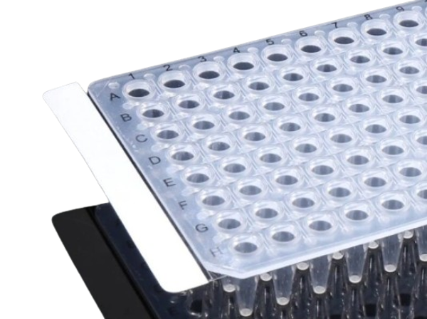 Imagen de Film Sellador para QPCR Nest Biotechnology (x100)