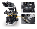 Microscopio Binocular Nikon - Ei