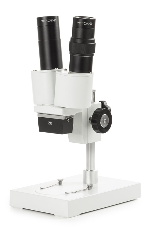 Microscopio Binocular AP-1 Euromex - NOVEX