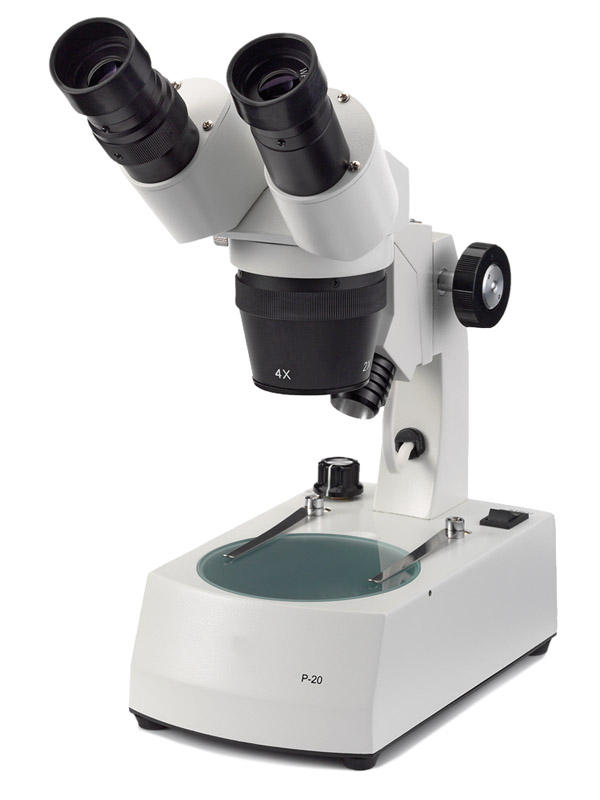 Microscopio  Binocular P-20 Euromex - NOVEX