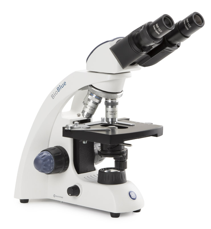 Microscopio Binocular Euromex - BioBlue (NeoLED) 