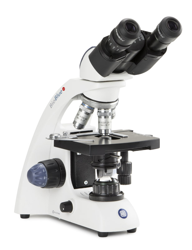 Microscopio Binocular Euromex - BioBlue EVO (NeoLED) 