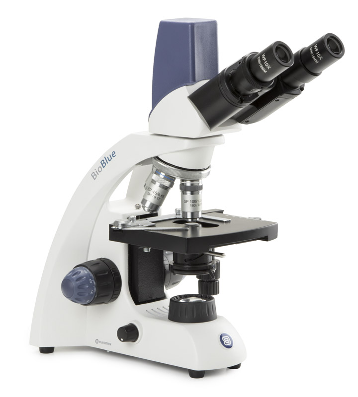 Microscopio Binocular con Cámara Euromex - BioBlue Digital 