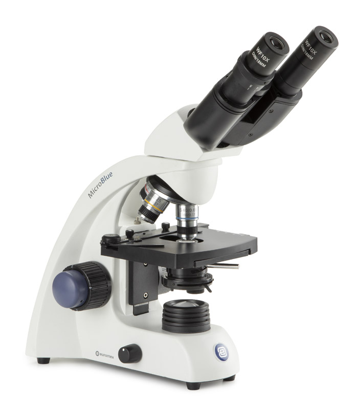 Microscopio Binocular 4/10/40/100 Euromex - MicroBlue (NeoLED)