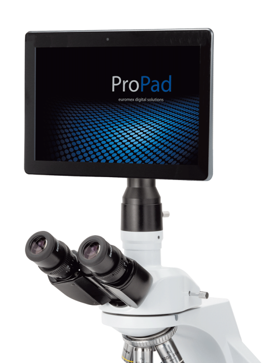 Tablet ProPad-5 para Microscopio Euromex 