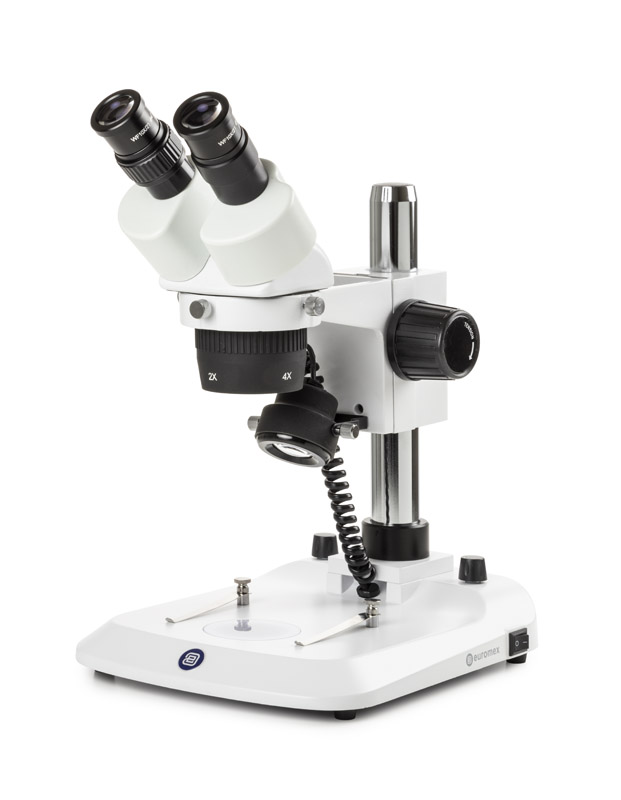 Microscopio Binocular con Columna Euromex - StereoBlue