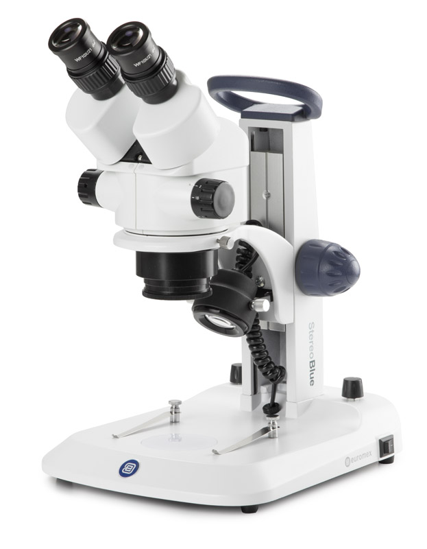 Microscopio Binocular Zoom Euromex - StereoBlue