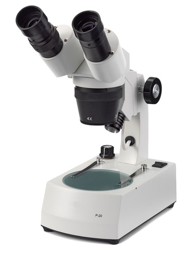 [60.200] Microscopio  Binocular P-20 Euromex - NOVEX