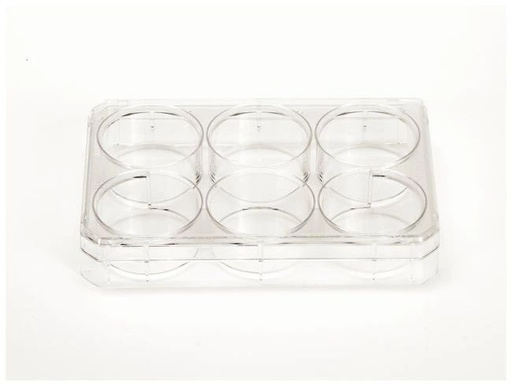 [140675] Placa Cultivo PS con Tapa 6 Hoyos Estéril Nalge-Nunc 