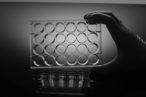 [702011] Placa de Cultivo Celular Plana Nest Biotecnology