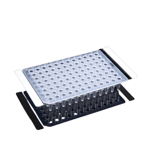 [ELE410001 P100] Film Sellador para Placas Nest Biotechnology