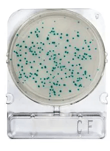 [ORO54053] Placas para Determinación de Coliformes Fecales x 4 Compact Dry