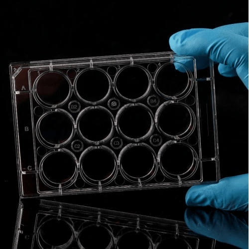 [ELE712001 C50] Placas de Cultivo Celular de 12 Pocillos Tratadas con TC Nest Biotechnology
